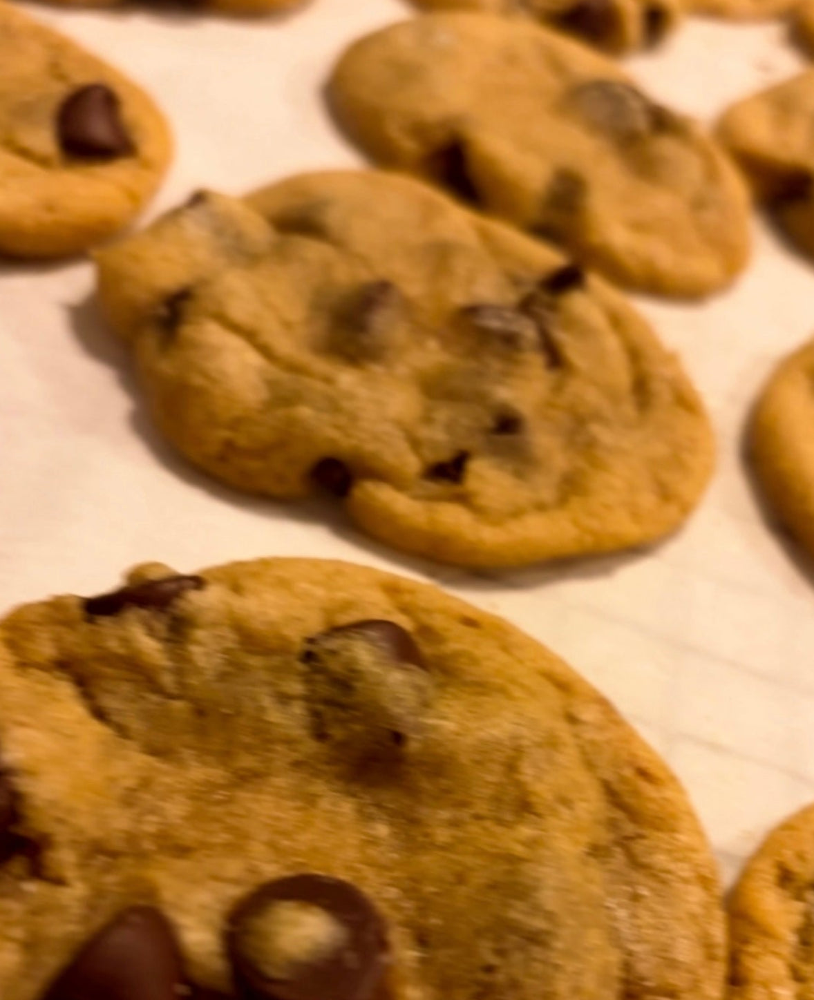 Chocolate Chip Cookies