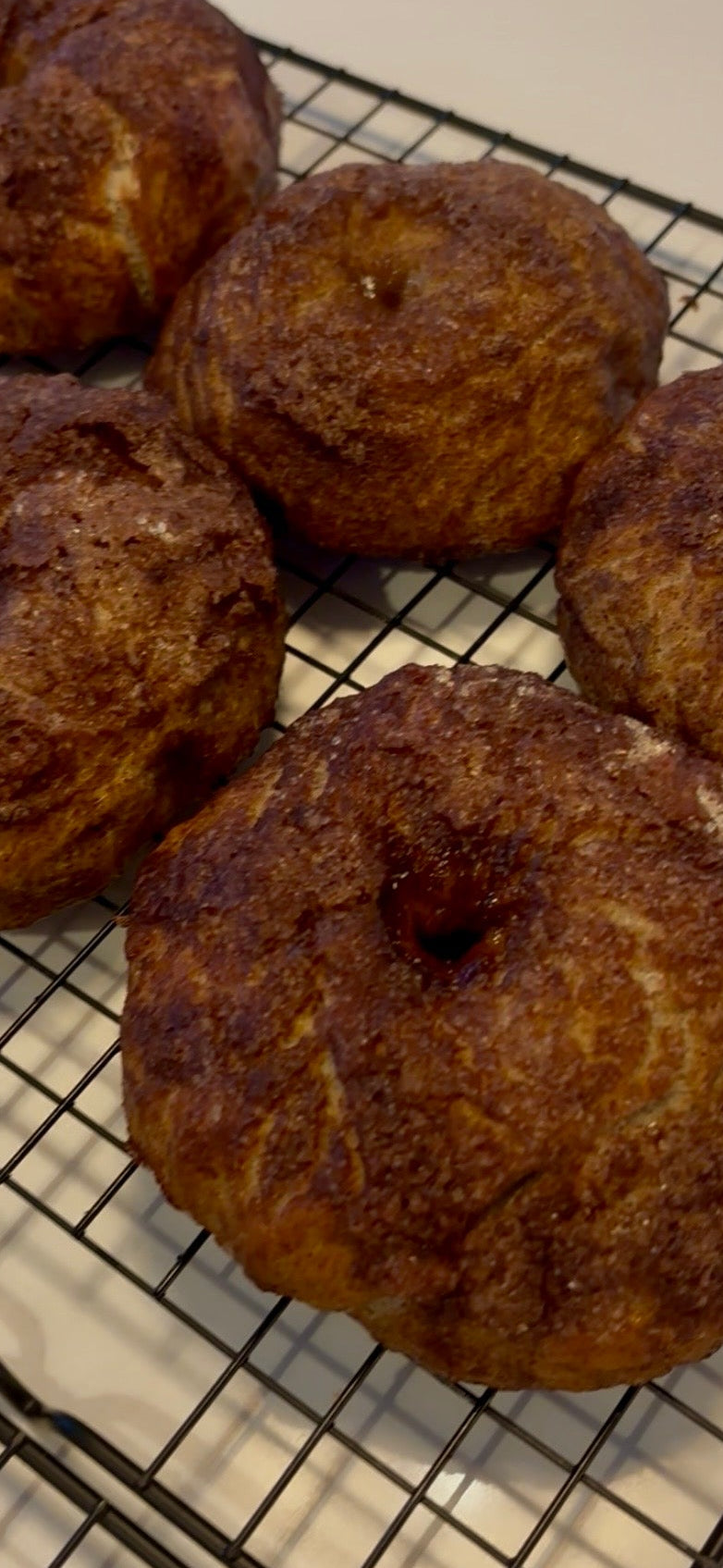 Sourdough Cinnamon Sugar Bagels - The Stillwater Signature Bagel